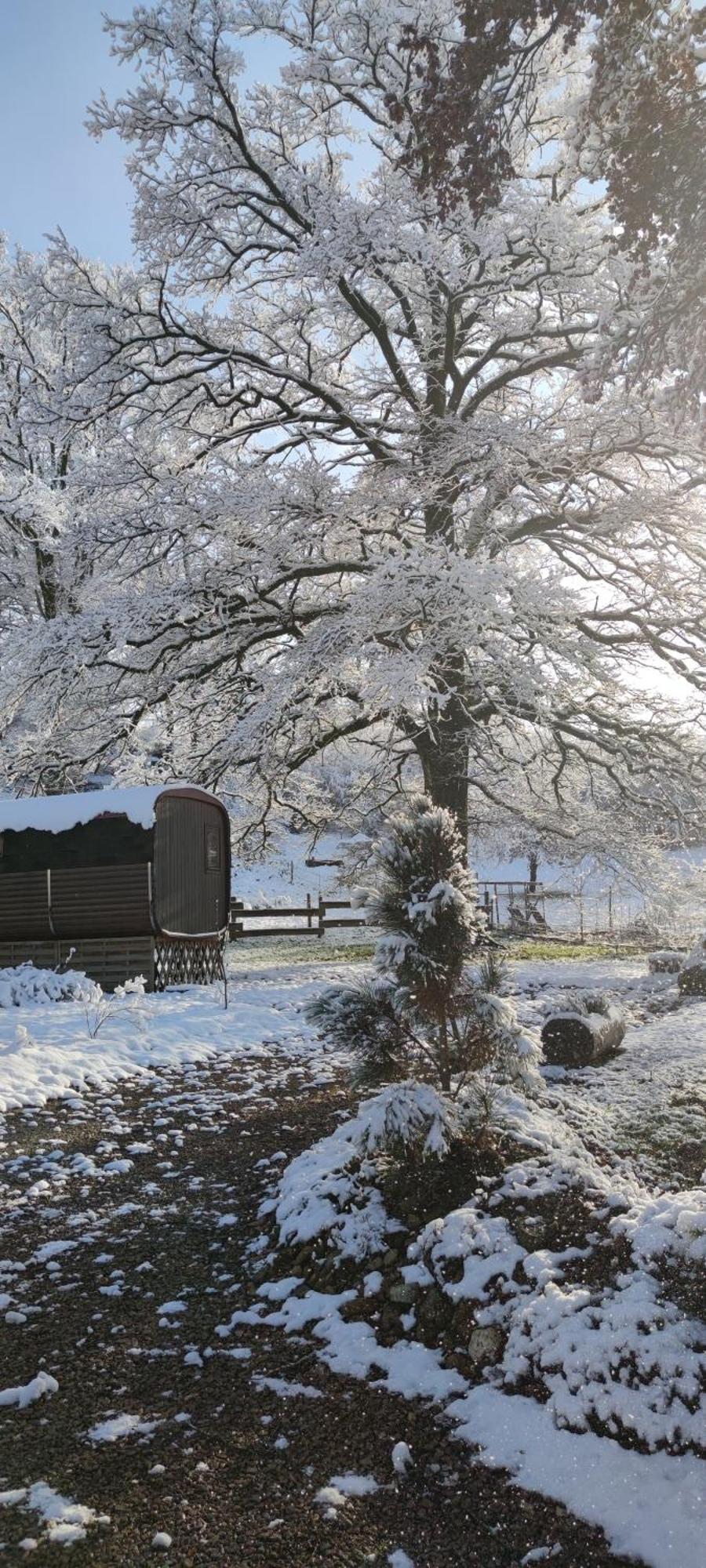 Ma roulotte sous les chênes- Au naturel Raon-aux-Bois Exterior foto